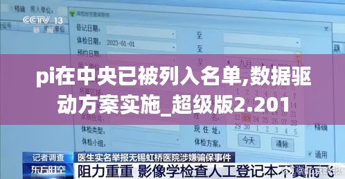 pi在中央已被列入名单,数据驱动方案实施_超级版2.201