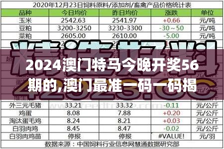 2024澳门特马今晚开奖56期的,澳门最准一码一码揭秘_8K6.307