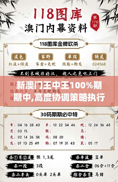 新澳门王中王100%期期中,高度协调策略执行_网页版15.576