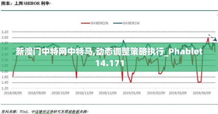 新澳门中特网中特马,动态调整策略执行_Phablet14.171