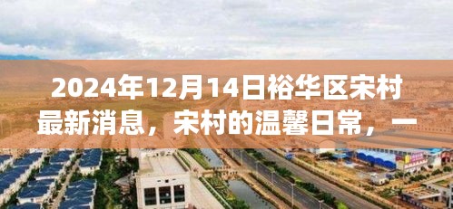 裕华区宋村2024年最新动态，友情、家庭与爱的温馨日常