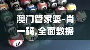 澳门管家婆-肖一码,全面数据执行方案_桌面款8.341