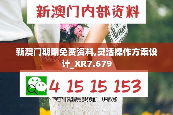 新澳门期期免费资料,灵活操作方案设计_XR7.679