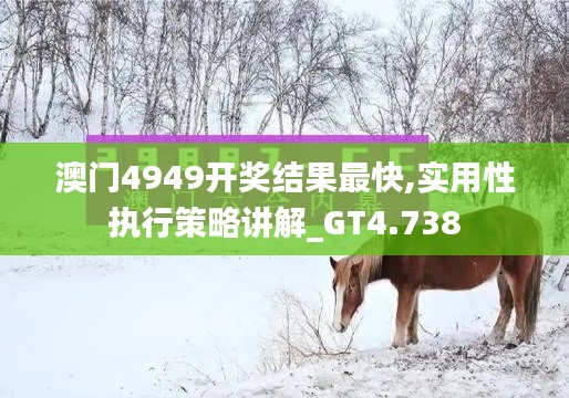 澳门4949开奖结果最快,实用性执行策略讲解_GT4.738