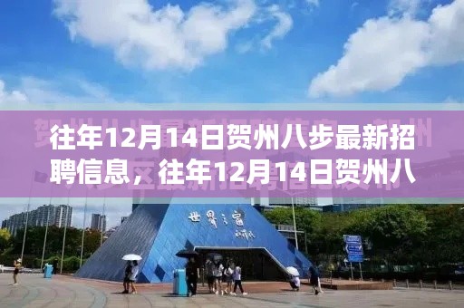 往年12月14日贺州八步最新招聘信息深度解析，特性、体验、对比及用户群体分析全攻略