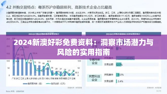 2024新澳好彩免费资料：洞察市场潜力与风险的实用指南