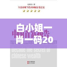 白小姐一肖一码2024年：解密年度财富的秘钥