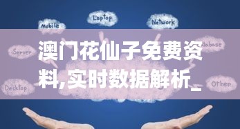 澳门花仙子免费资料,实时数据解析_Executive6.195
