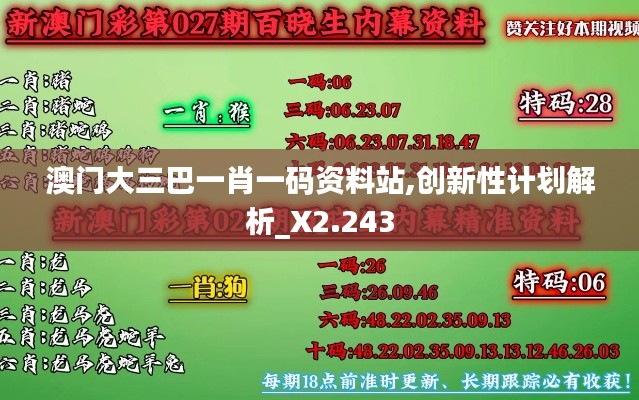 澳门大三巴一肖一码资料站,创新性计划解析_X2.243