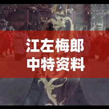 江左梅郎中特资料大全更新时间：与时俱进的知识源泉