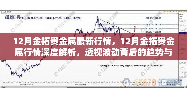 深度解析，金拓贵金属行情透视与趋势风险解析