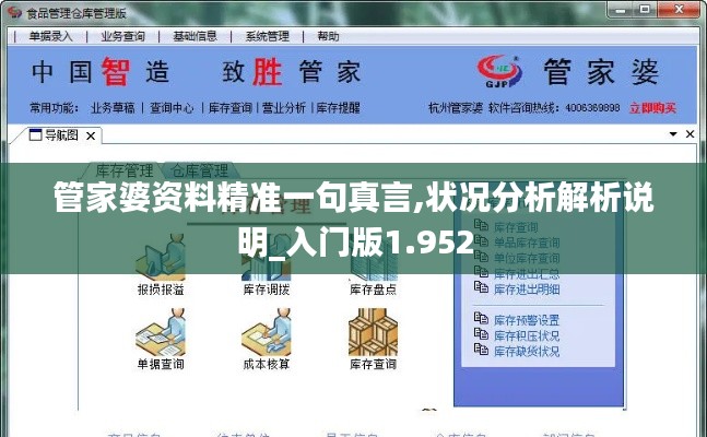 管家婆资料精准一句真言,状况分析解析说明_入门版1.952