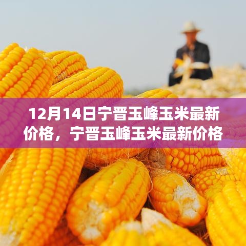 血脉喷张 第3页