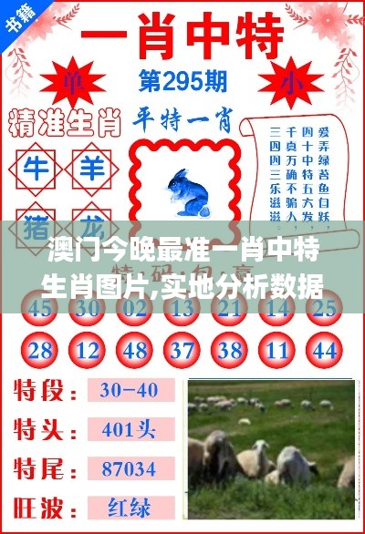 澳门今晚最准一肖中特生肖图片,实地分析数据执行_特供版13.693