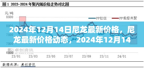 2024年12月14日尼龙价格动态，回顾与展望