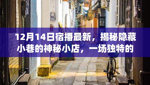 揭秘隐藏小巷的神秘小店，宿播之旅探寻惊喜盛宴的独家揭秘（12月14日宿播最新）