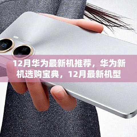华为新机选购宝典，十二月最新机型推荐与指南
