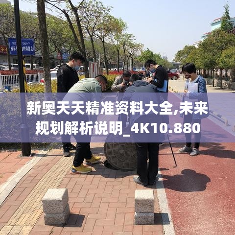 新奥天天精准资料大全,未来规划解析说明_4K10.880