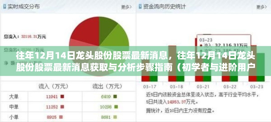 往年12月14日龙头股份股票最新消息全解析，获取与分析步骤指南（适合初学者与进阶用户）