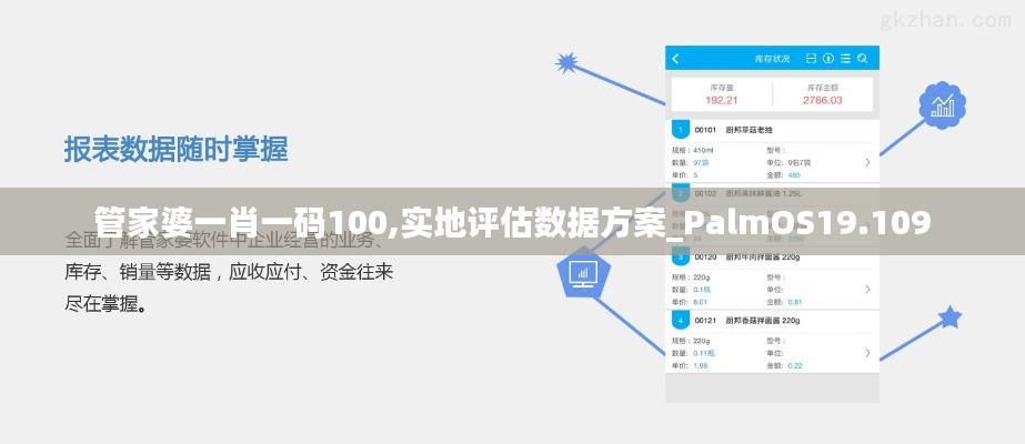 管家婆一肖一码100,实地评估数据方案_PalmOS19.109