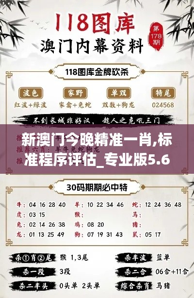 新澳门今晚精准一肖,标准程序评估_专业版5.660