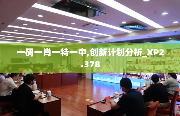 一码一肖一特一中,创新计划分析_XP2.378
