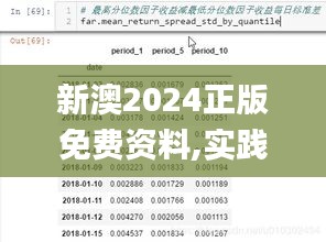 新澳2024正版免费资料,实践分析解释定义_X9.619