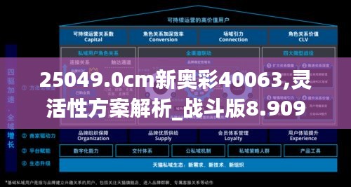 25049.0cm新奥彩40063,灵活性方案解析_战斗版8.909