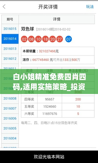 白小姐精准免费四肖四码,适用实施策略_投资版10.678