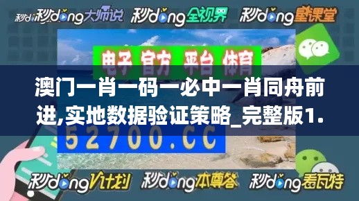 澳门一肖一码一必中一肖同舟前进,实地数据验证策略_完整版1.998