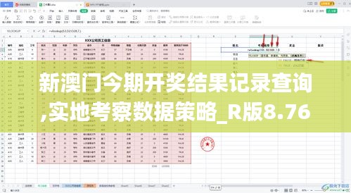 新澳门今期开奖结果记录查询,实地考察数据策略_R版8.768