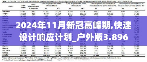 2024年11月新冠高峰期,快速设计响应计划_户外版3.896
