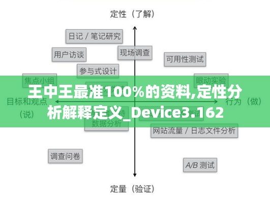 王中王最准100%的资料,定性分析解释定义_Device3.162