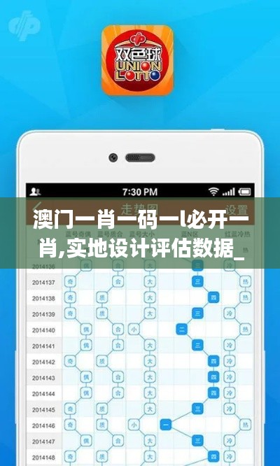 澳门一肖一码一l必开一肖,实地设计评估数据_Harmony款3.117