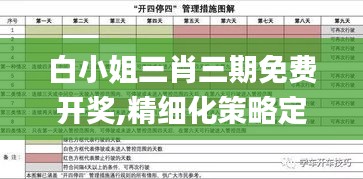 白小姐三肖三期免费开奖,精细化策略定义探讨_钻石版13.838