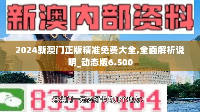 2024新澳门正版精准免费大全,全面解析说明_动态版6.500