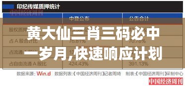 黄大仙三肖三码必中一岁月,快速响应计划分析_FHD10.305