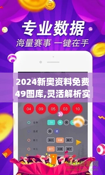 2024新奥资料免费49图库,灵活解析实施_豪华版10.980