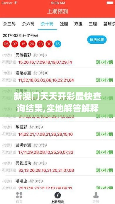 新澳门天天开彩最快查询结果,实地解答解释定义_HT7.610