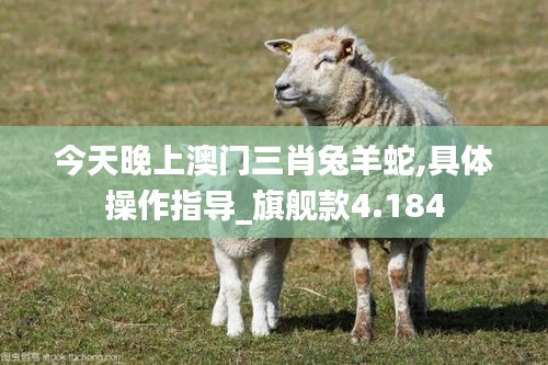 今天晚上澳门三肖兔羊蛇,具体操作指导_旗舰款4.184