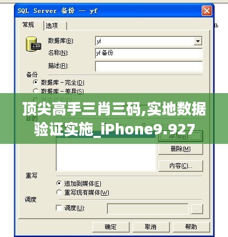 顶尖高手三肖三码,实地数据验证实施_iPhone9.927