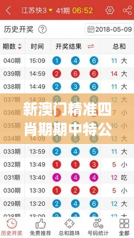 新澳门精准四肖期期中特公开,适用计划解析方案_安卓款4.504