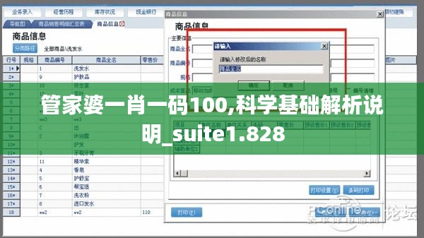 管家婆一肖一码100,科学基础解析说明_suite1.828