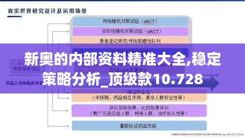 新奥的内部资料精准大全,稳定策略分析_顶级款10.728