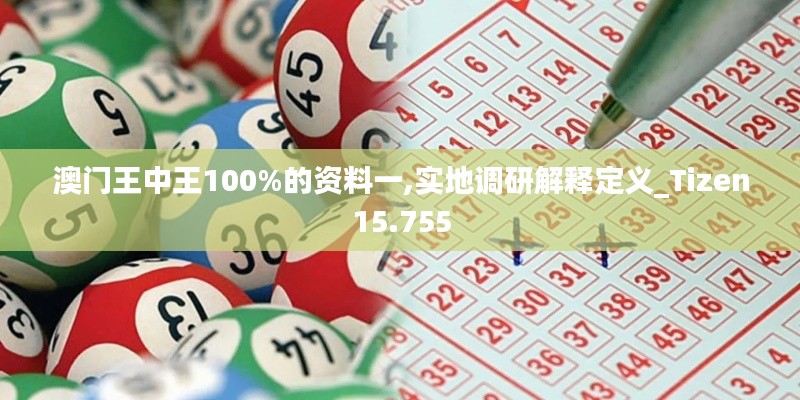 澳门王中王100%的资料一,实地调研解释定义_Tizen15.755