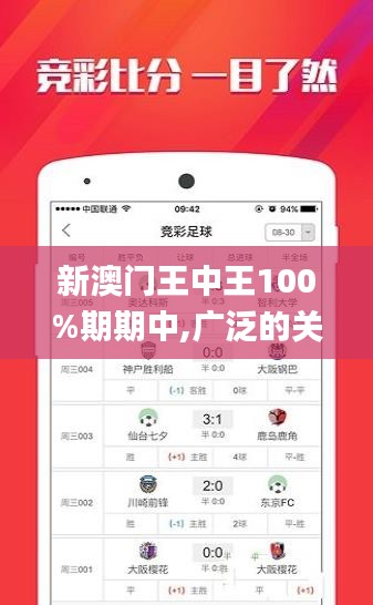 新澳门王中王100%期期中,广泛的关注解释落实_W10.225