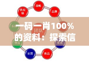 一码一肖100%的资料：探索信息精确性的关键作用