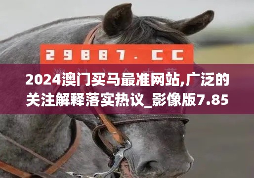 2024澳门买马最准网站,广泛的关注解释落实热议_影像版7.852