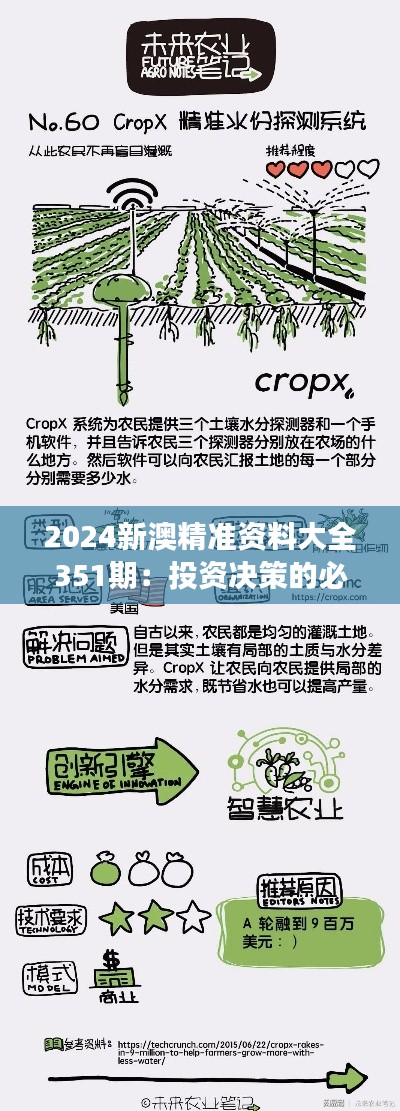 2024新澳精准资料大全351期：投资决策的必读参考