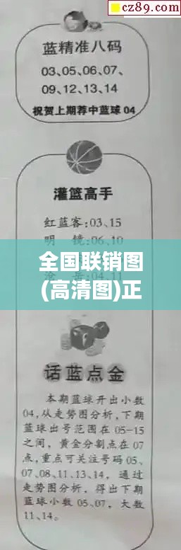 全国联销图(高清图)正版：精准布局与数据分析的桥梁